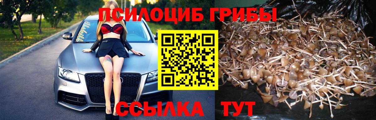 купить наркоту  Галлюциногенные грибы ЛСД  Вход с VPN  Вольск 